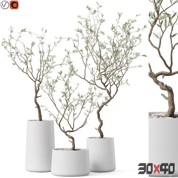 现代盆栽3d模型下载-30x40 Mood
