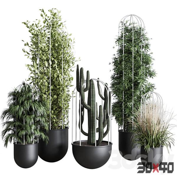 现代绿植盆栽组合3D模型下载-30x40 Mood