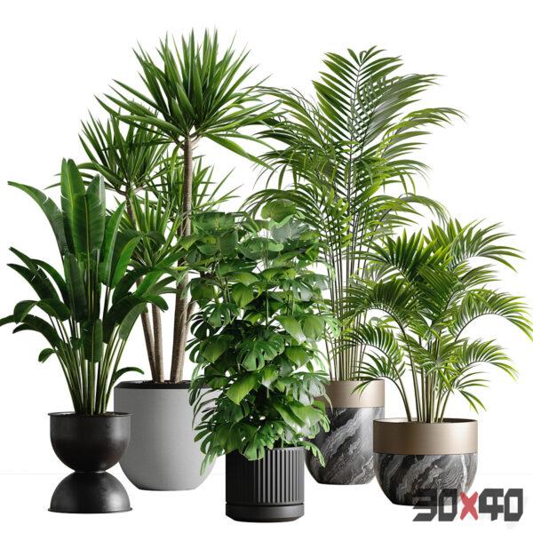 现代植物盆栽3d模型下载 -30x40 Mood