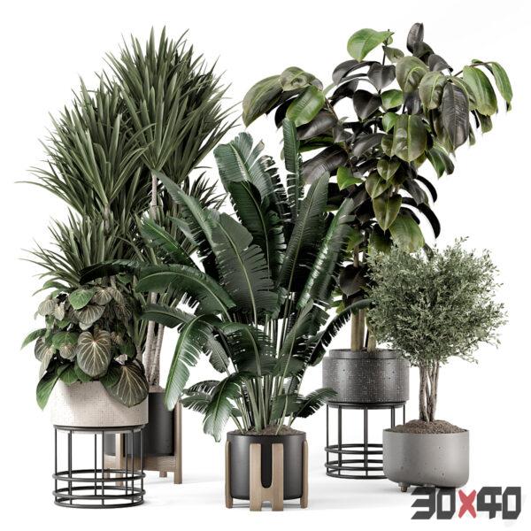 植物盆栽3d模型下载-30x40 Mood
