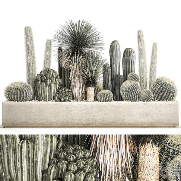 模型集合 第30部分 2023.6（3dsMax + Corona + Vray）20个模型团购-30x40 Mood