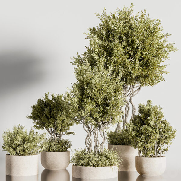 模型集合 第32部分 2023.6（3dsMax + Corona + Vray）20个模型团购-30x40 Mood