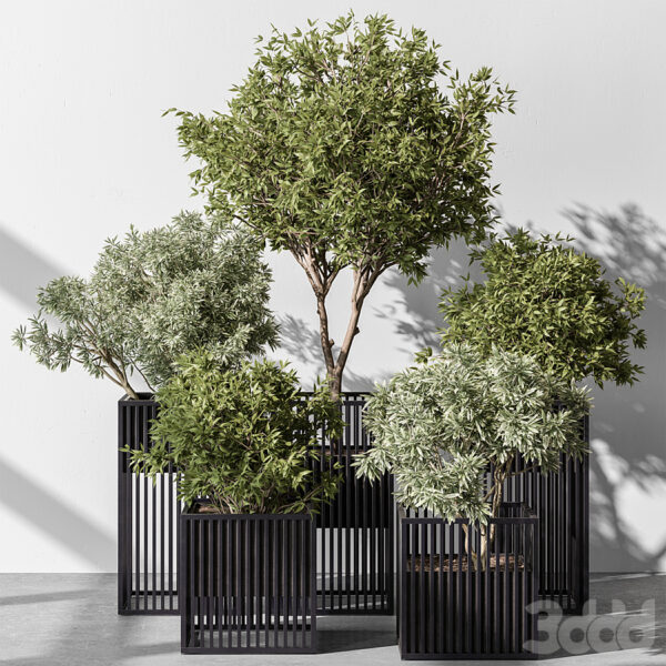 现代绿植盆栽3d模型下载-30x40 Mood