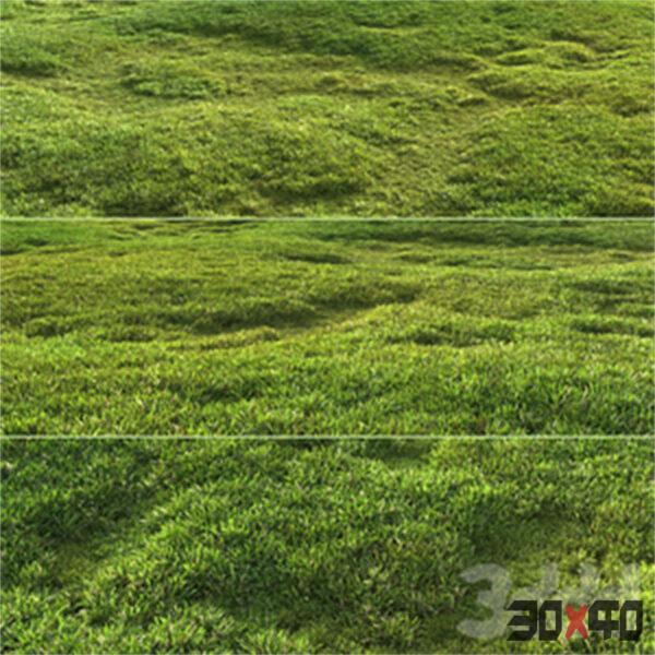 草地草坪3d模型下载-30x40 Mood