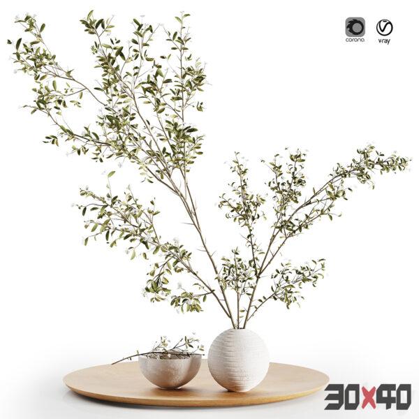 花艺植物3d模型下载-30x40 Mood