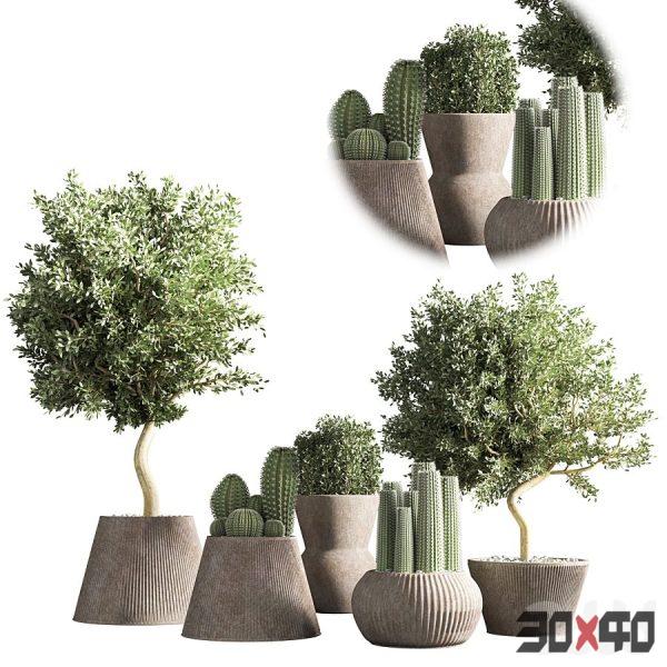 indoor plant stand 32-30x40 Mood