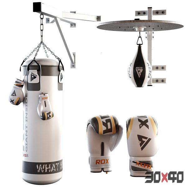 Set Punching bag and gloves from ROX_2