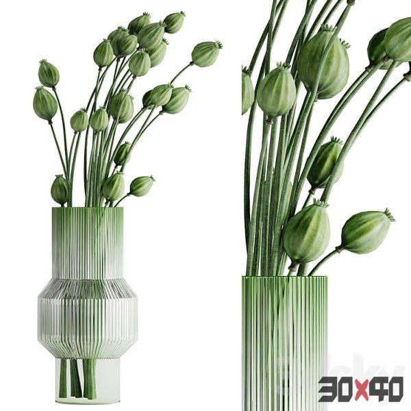 bouquet of bulbous fruits inserted into a glass vase-30x40 Mood