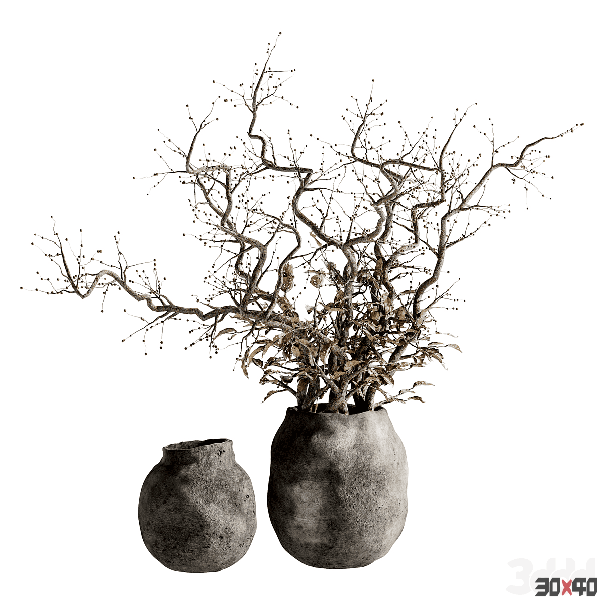 indoor dry bonsai 03-30x40 Mood