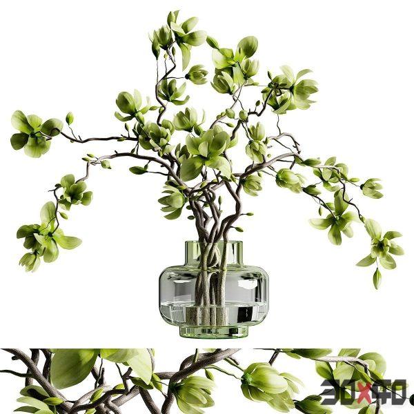 green magnolia bouquet in glass vase 03-30x40 Mood