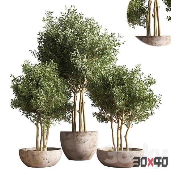 indoor plant stand 19