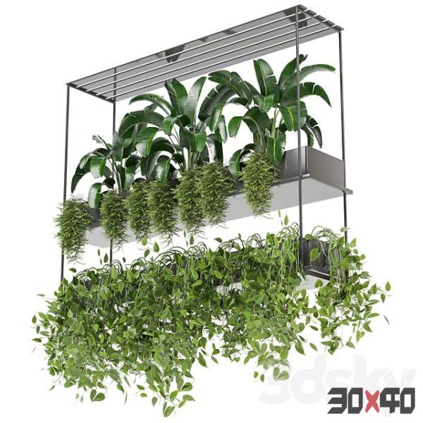 indoor hanging plants in metal box set 0078-30x40 Mood