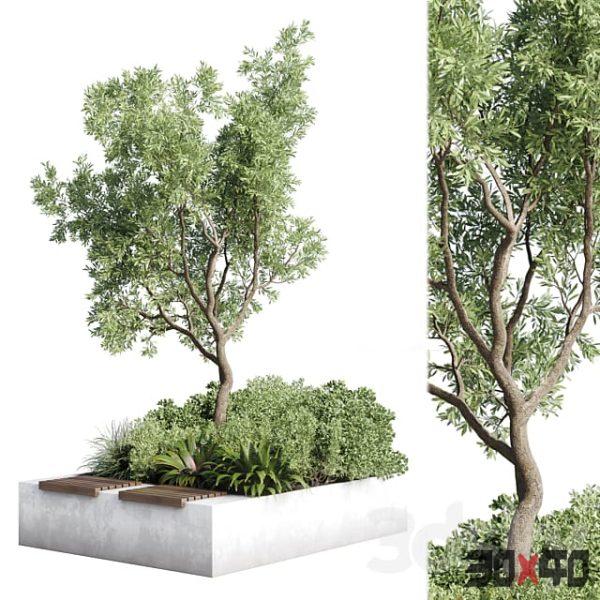 Urban Environment_Urban Furniture_Green Benches_Collection Plants and Tree 11 corona-30x40 Mood