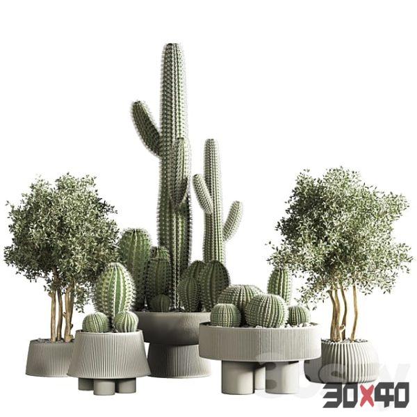 indoor plant stand 31