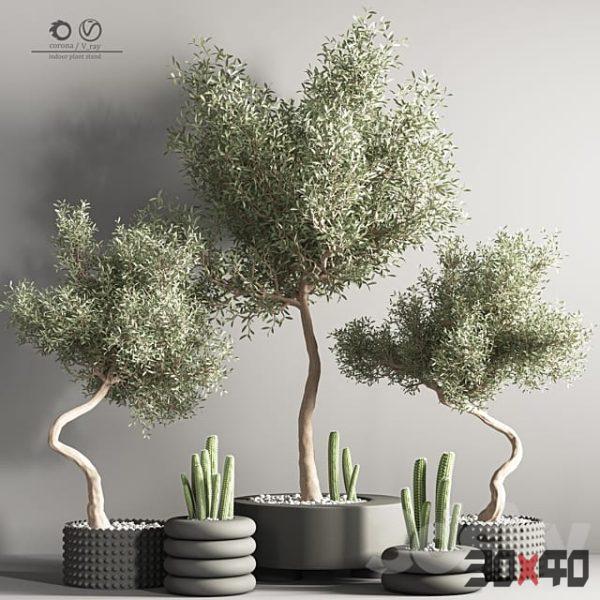 indoor plant stand 33