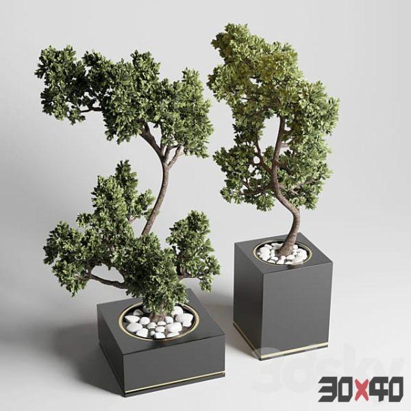 bonsai pot concrete vase pot tree-30x40 Mood