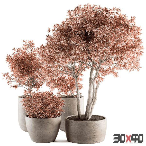 Outdoor Plant Set 359 - Pink Plant Set in Concrete Pot