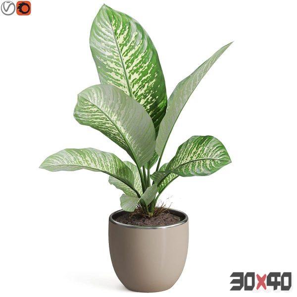 Plants collection 768-30x40 Mood