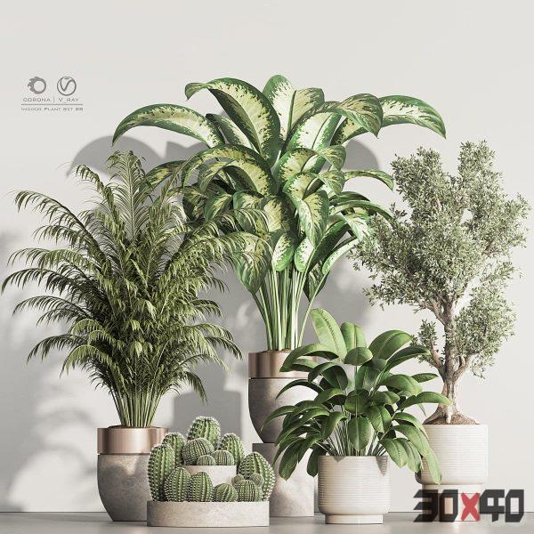 Indoor Plant Set 88