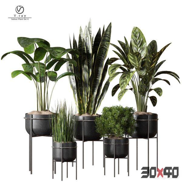 indoor Plant 4-30x40 Mood