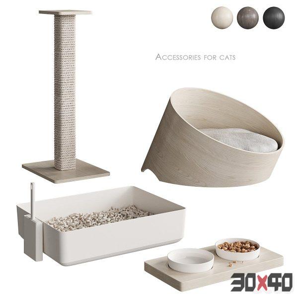 Accessories for cats NG1