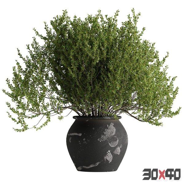 Indoor Potted Plants-30x40 Mood