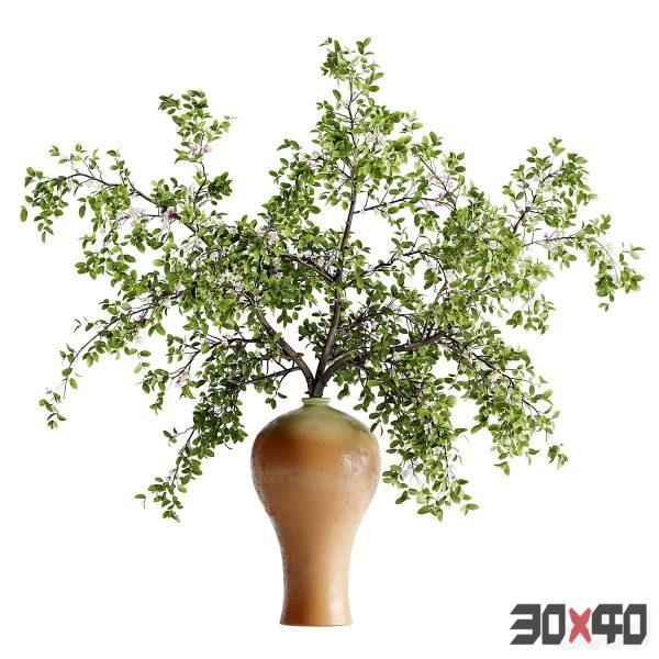 Tree Branch Bouquet 09