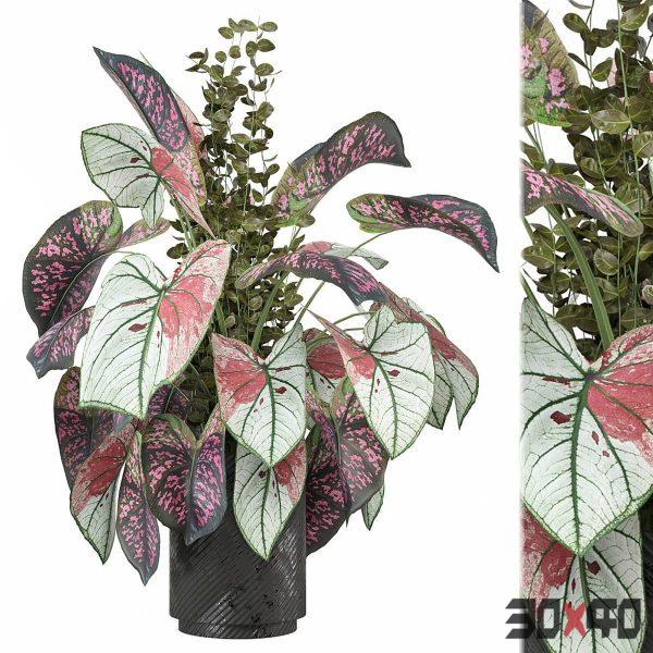 Indoor Plants Collection 1585-30x40 Mood