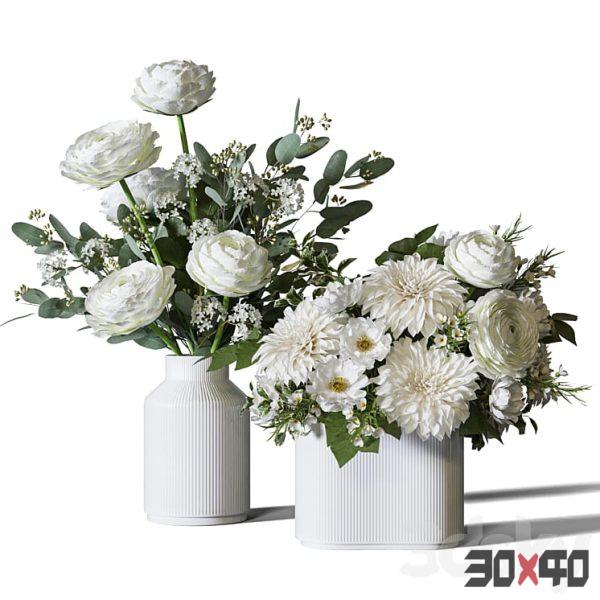 Flower Set 092 dahlia ranunculus-30x40 Mood